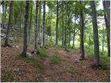 Masseris - Monte Mataiur/Matajur